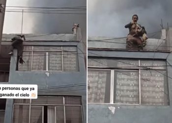 Homem escala prédio em chamas para resgatar 25 cachorros: “Já tem o seu lugar no céu”