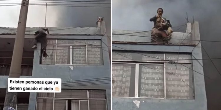 Homem escala prédio em chamas para resgatar 25 cachorros: “Já tem o seu lugar no céu”