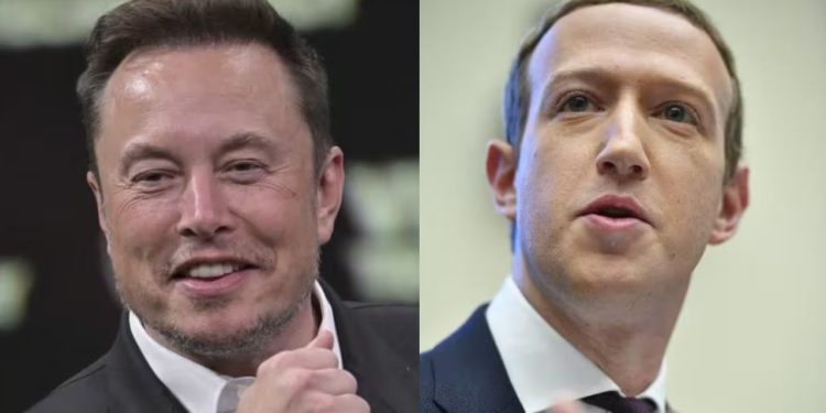 Elon Musk e Zuckerberg se desafiam para lutar dentro de jaula