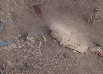 Dois corpo do sexo masculino foram encontrados parcialmente enterrados em uma área de mata no bairro Puraquequara, zona leste de Manaus.