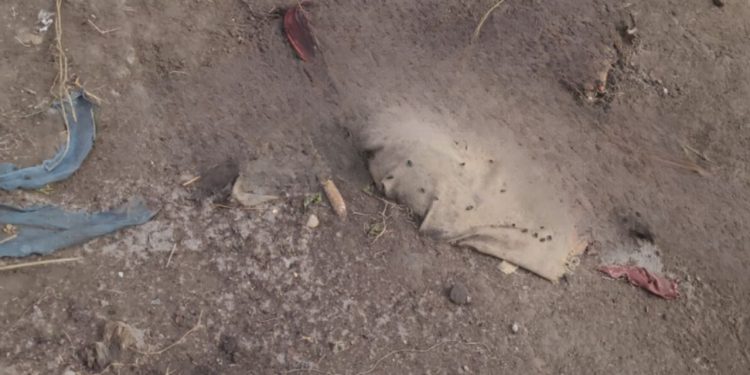 Dois corpo do sexo masculino foram encontrados parcialmente enterrados em uma área de mata no bairro Puraquequara, zona leste de Manaus.