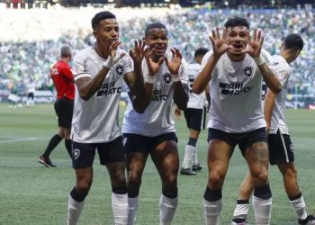 Botafogo vence o Palmeiras e dispara na liderança do Brasileirão