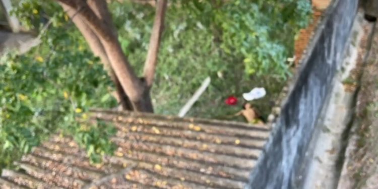 Morador de rua é morto a tiros no quintal de casa no bairro Parque Dez