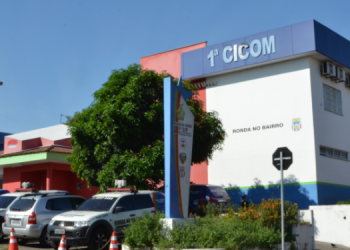 Uma mulher, que não teve o nome divulgado, foi presa após tentar arrancar o órgão genital do próprio marido, na noite de. Mulher tenta