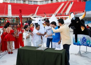 Confira a ordem de apresentação dos bumbás 56º Festival Folclórico de Parintins