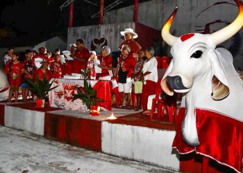 Tradicional ladainha do Boi Garantido foi marcada pelo rito de devoção e fé a Santo Antônio