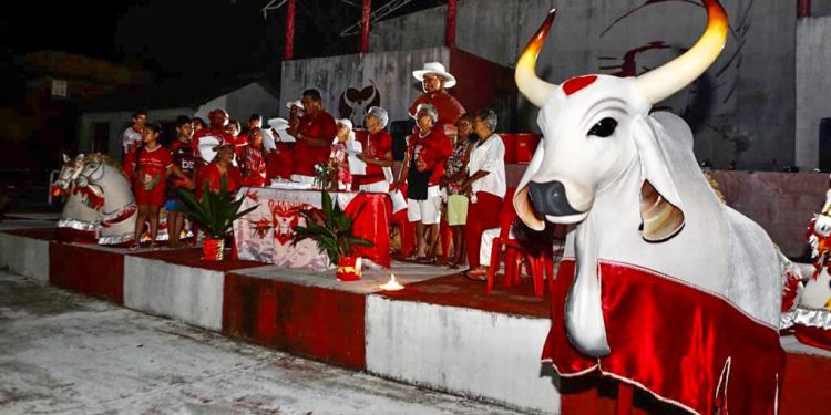 Tradicional ladainha do Boi Garantido foi marcada pelo rito de devoção e fé a Santo Antônio