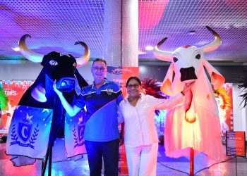 Exposição sobre Festival de Parintins encanta turistas no Aeroporto de Manaus