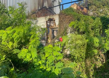 VÍDEO: Casa abandonada pega fogo e quase atinge galpão em Manaus