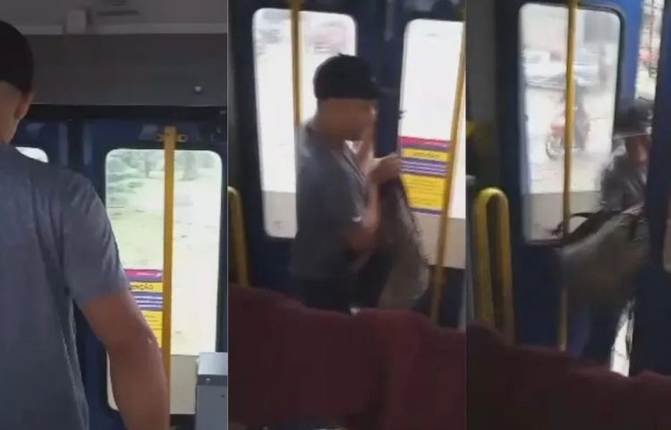 VÍDEO: Homem pula de ônibus em movimento ao ser flagrado 'batendo bronha'