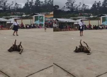 Alunos do Colégio Cristo Rey, uma escola de ensino fundamental no Peru, organizaram um evento especial em homenagem ao Dia dos Pais. Vídeo