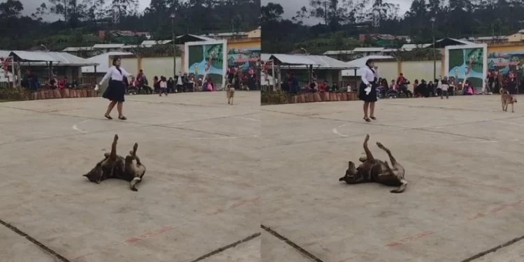 Alunos do Colégio Cristo Rey, uma escola de ensino fundamental no Peru, organizaram um evento especial em homenagem ao Dia dos Pais. Vídeo