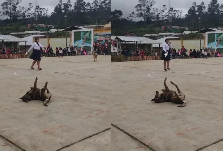 Alunos do Colégio Cristo Rey, uma escola de ensino fundamental no Peru, organizaram um evento especial em homenagem ao Dia dos Pais. Vídeo