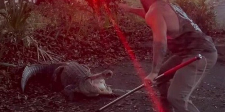 Um lutador de MMA brigou e imobilizou um jacaré imenso, que invadiu o terreno de uma escola na Flórida, Estados Unidos. Lutador de