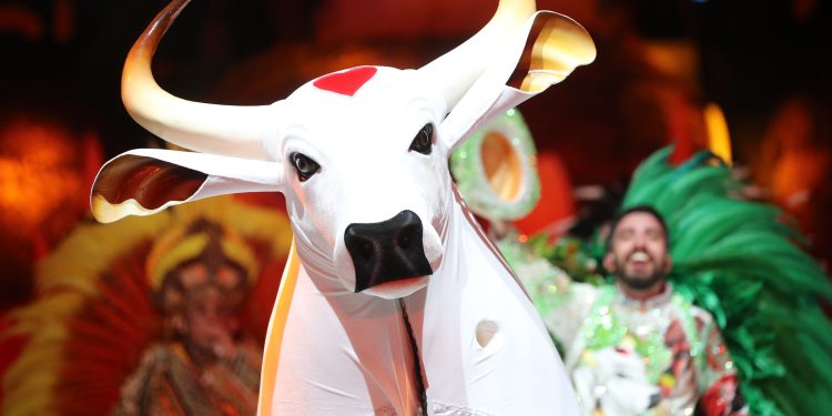 O Boi-Bumbá Garantido abriu, nesta sexta-feira (30), a primeira noite do 56º Festival Folclórico de Parintins (a 369. Garantido abre