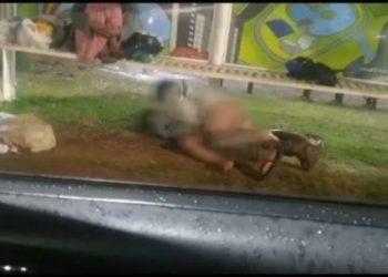 VÍDEO: Sem vergonha e com platéia, casal é flagrado no 'vuco vuco' em ponto de ônibus