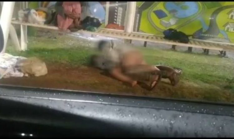 VÍDEO: Sem vergonha e com platéia, casal é flagrado no 'vuco vuco' em ponto de ônibus