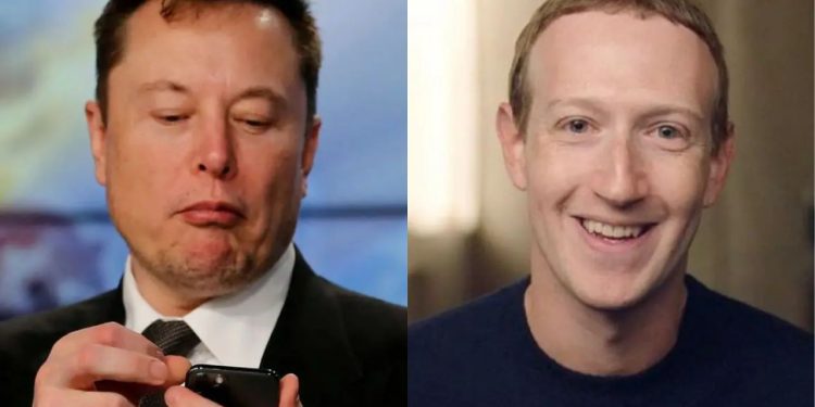 Elon Musk desafia Mark Zuckerberg para competição de tamanho do “piru”