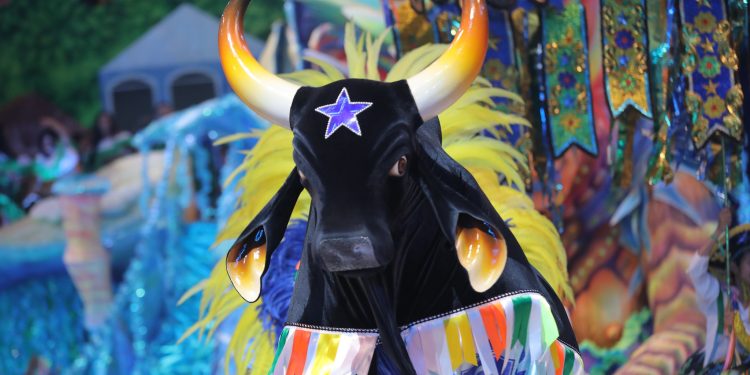 O Caprichoso é campeão do 56º Festival Folclórico de Parintins. Com o tema “O brado do povo guerreiro”, o Touro Negro . Caprichoso é