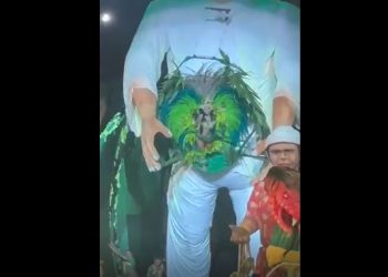 A rainha do Folclore do Boi Garantido, Edilene Tavares, levou um susto durante a sua apresentação na primeira noite do festival. Rainha do