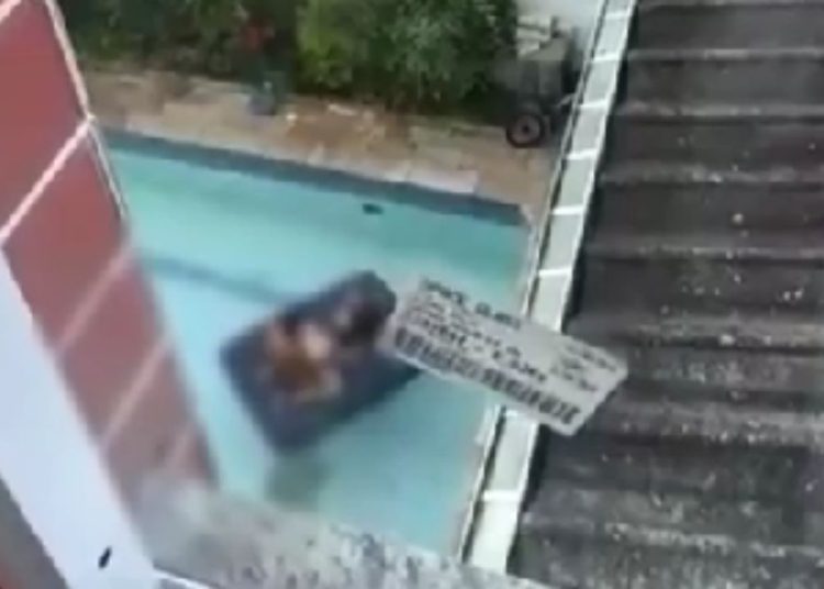 VÍDEO: Cantor sertanejo é flagrado 'batendo o bife' na piscina
