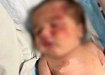 Cachorro de rua encontra bebê abandonada dentro de saco de lixo