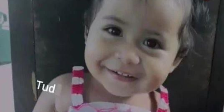 Bebê de 1 ano desaparece no rio após cair de flutuante em Manacapuru