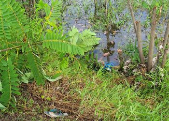 Alexandre Vasconcelos, 65, o ‘Colombo’, foi encontrado morto, boiando no rio, no município de Iranduba, na manhã desta segunda. Corpo de