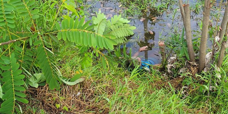Alexandre Vasconcelos, 65, o ‘Colombo’, foi encontrado morto, boiando no rio, no município de Iranduba, na manhã desta segunda. Corpo de