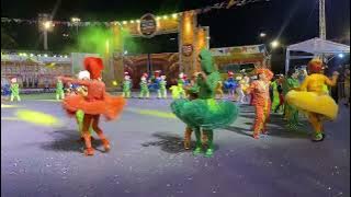 Live Night: Festival Folclórico do Amazonas encerra apresentações nesta quarta-feira