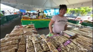 Domingão de lazer – Faixa liberada da Ponta Negra