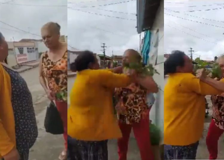 Vovós descobrem que estão pegando o mesmo padeiro e discussão termina em pancadaria: "rapariga"
