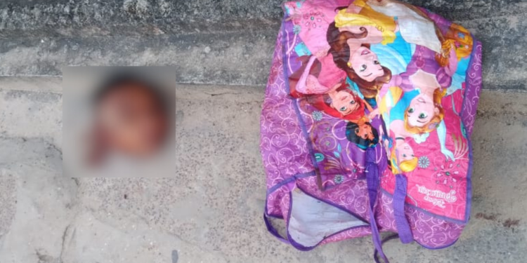 Em Manaus, cabeça humana é encontrada em sacola das princesas da Disney