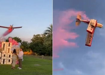 Vídeo: avião cai durante ‘chá revelação’ e piloto morre
