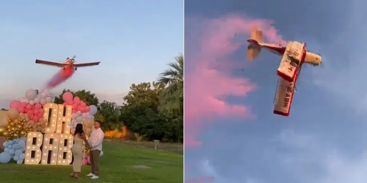 Vídeo: avião cai durante ‘chá revelação’ e piloto morre