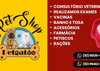 Petshop Petgatoo - responsabilidade com o bem-estar animal