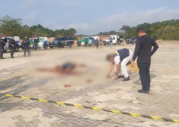 Homem é morto com mais de 10 facadas e atropelado no Planalto; veja vídeos