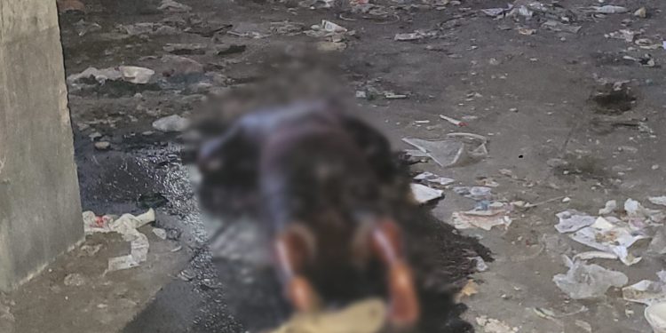 Cadáver irreconhecível é encontrado em cadeia abandonada no Centro; cenas fortes