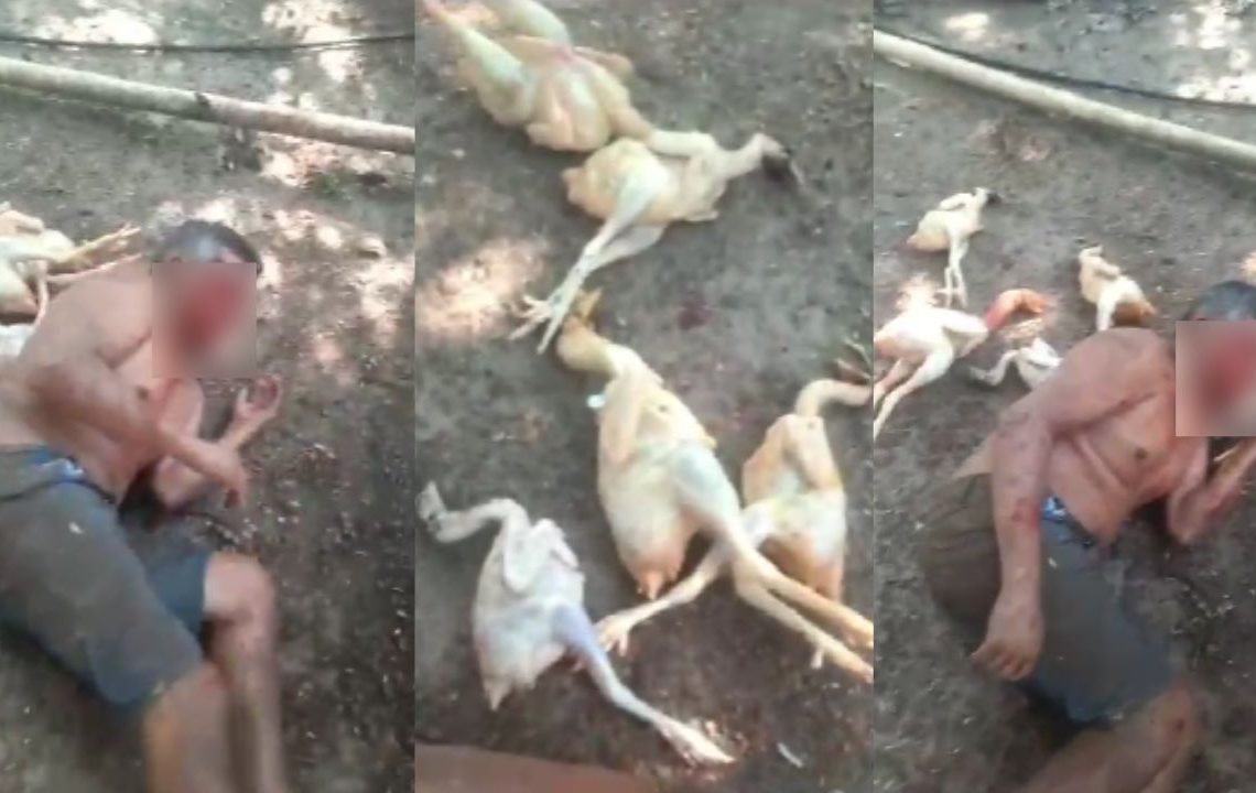 Ladrão de galinhas tem a cara arrebentada após ser pego no flagra por fazendeiro