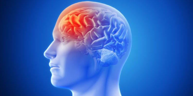 Dia Mundial do AVC faz alerta para a identificação de sintomas e prevenção da doença