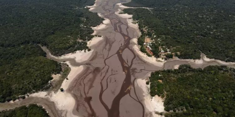 Amazonas receberá R$ 225 milhões do governo federal por conta da seca histórica