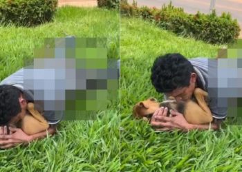 VÍDEO: Morador de rua leva chute ao ser flagrado tendo relações com cadela em plena luz do dia