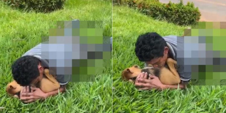 VÍDEO: Morador de rua leva chute ao ser flagrado tendo relações com cadela em plena luz do dia