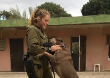 Israelense mata 25 terroristas do Hamas e salva comunidade de massacre