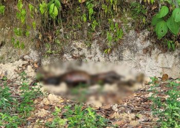 Cadáver sem dedos é desovado em estrada no bairro Cidade de Deus