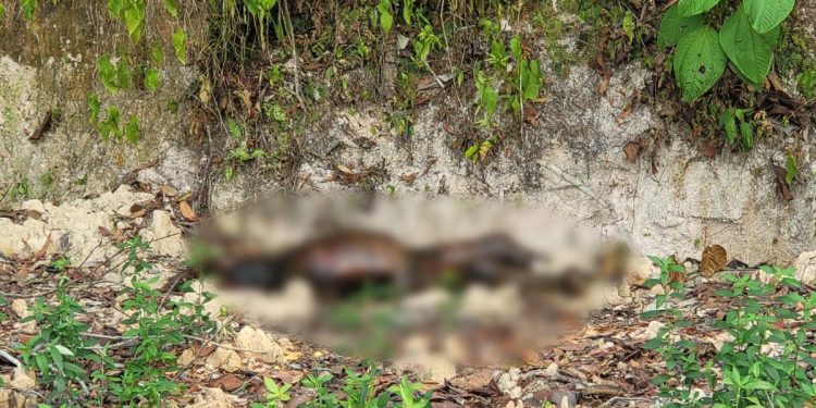 Cadáver sem dedos é desovado em estrada no bairro Cidade de Deus