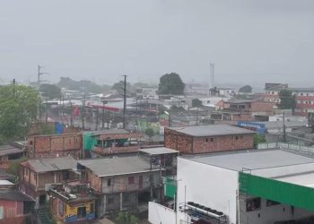 Defesa Civil registra deslizamentos e tombamentos após forte chuva em Manaus