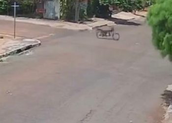 Bizarro: ‘moto fantasma’ em alta velocidade é filmada sem piloto; veja vídeo