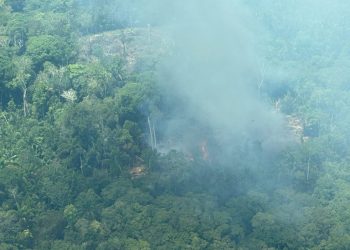 PF faz operação para identificar responsáveis pelas queimadas ilegais no AM