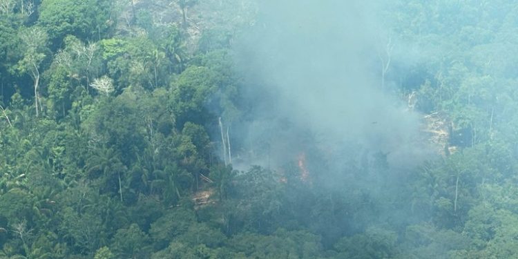 PF faz operação para identificar responsáveis pelas queimadas ilegais no AM